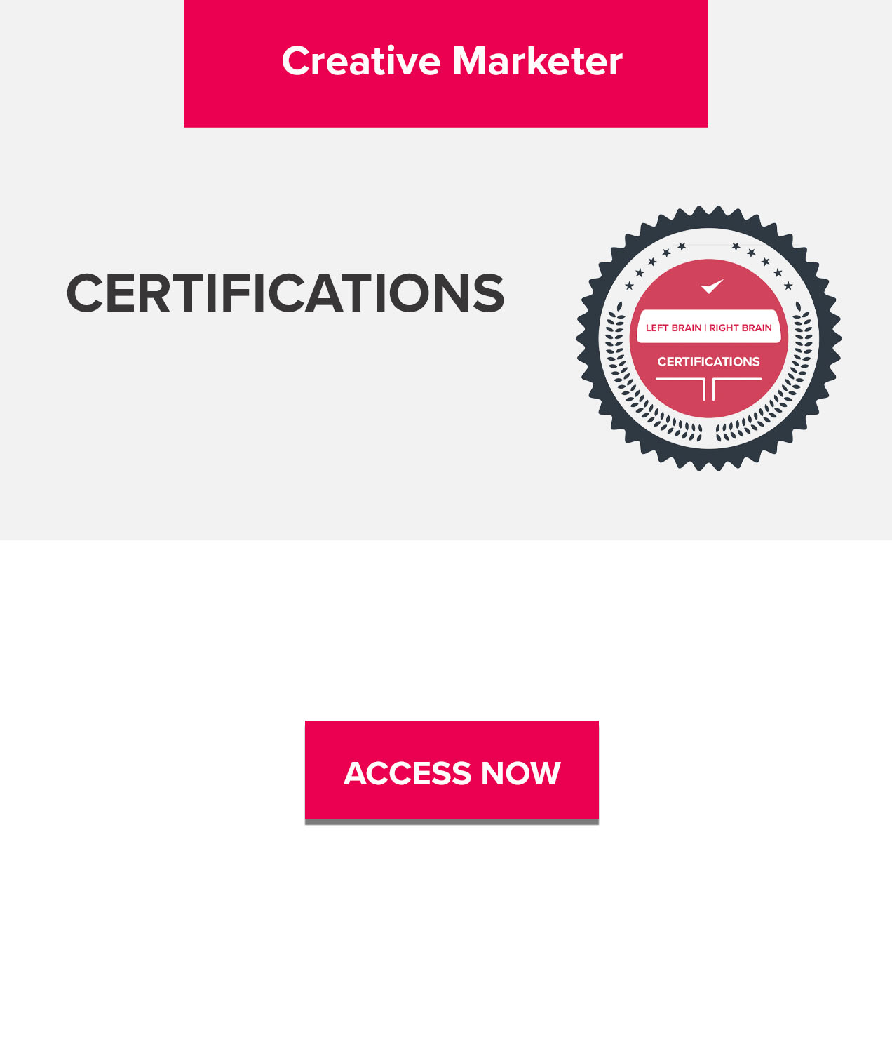 CMO Dashboard Preview Creative Marketer Certification